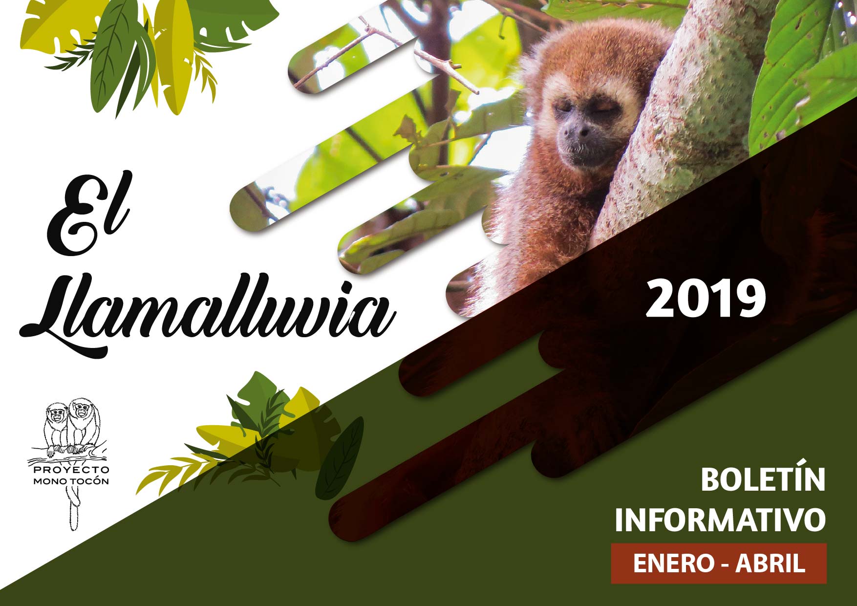Boletín Llamalluvia I 2019